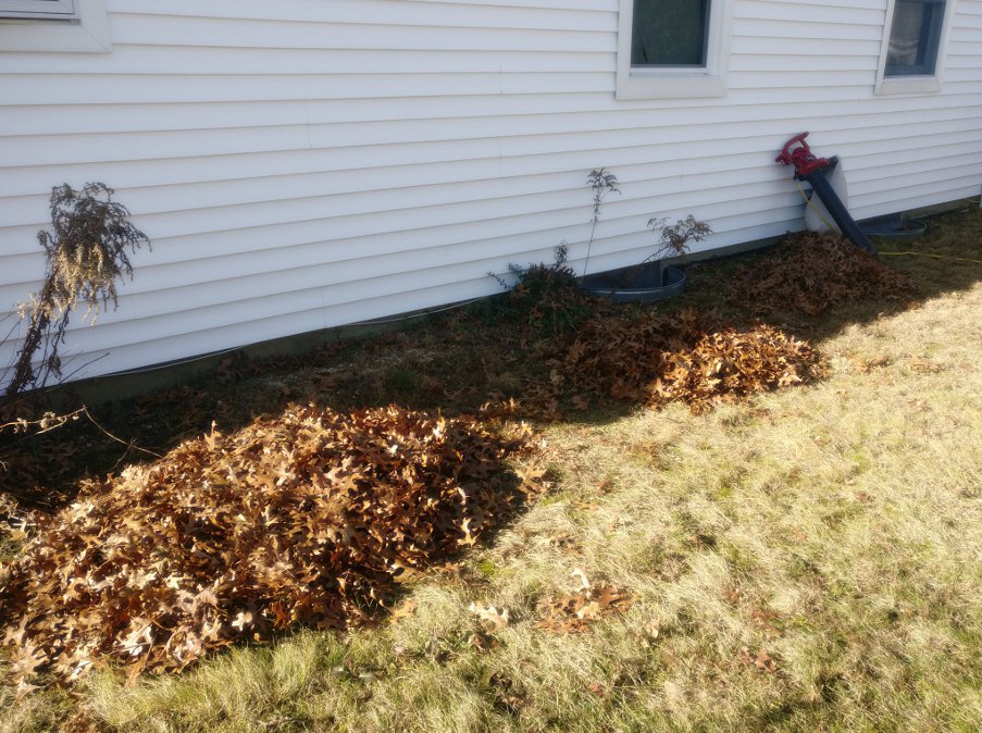 winter_leaf_pile.jpg